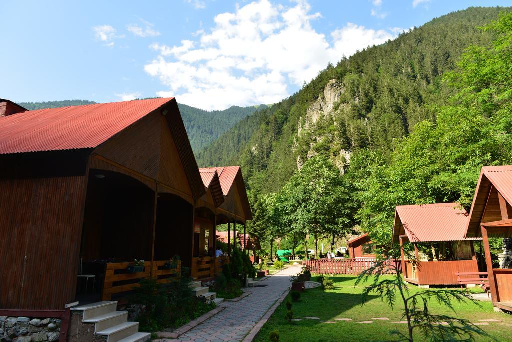 Akyuz Kardesler Hotel & Bungalow Uzungöl Buitenkant foto