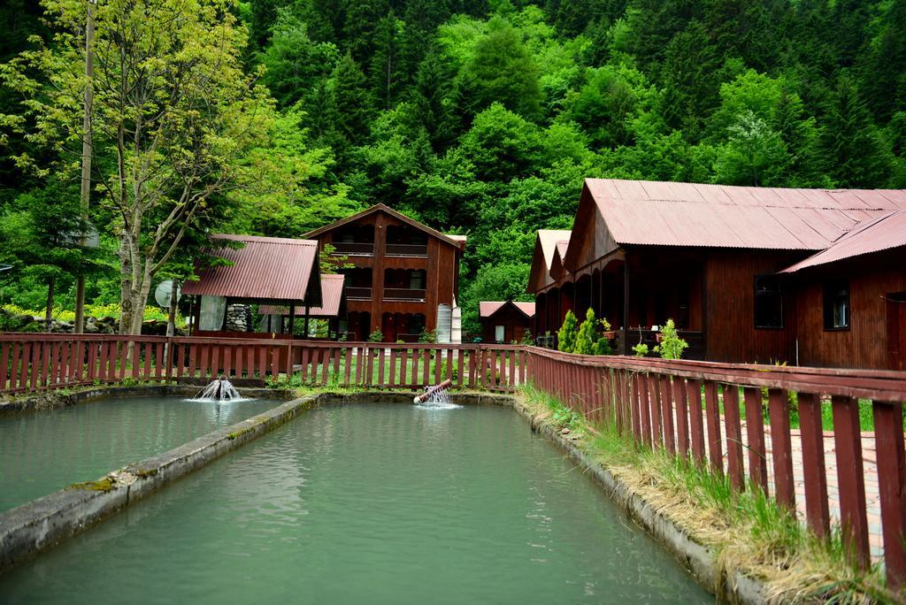 Akyuz Kardesler Hotel & Bungalow Uzungöl Buitenkant foto